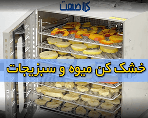 میوه خشک کن خانگی