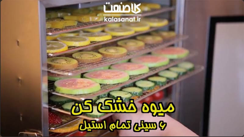 دستگاه میوه خشک کن ۶ سینی برقی